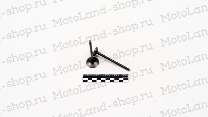 Клапаны ГРМ 163FML-2(CB200-C)165FML(CBB200)165FMM(CB250D-G)165FMM(CBB250) (компл=2шт)