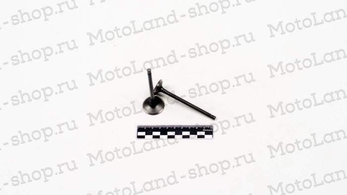 Клапаны ГРМ 167FML-3 (CG200D-B) (компл=2шт)