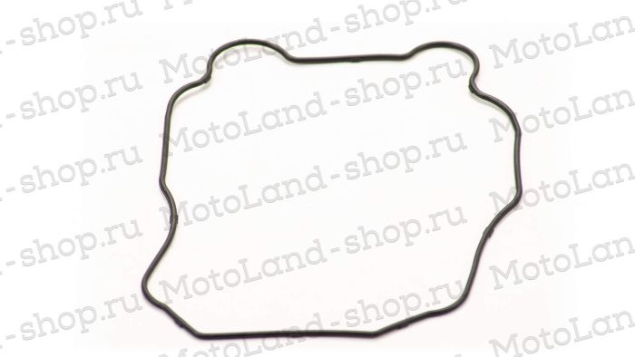 Прокладка крышки головки W190 190см3 ZS