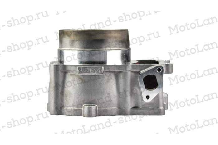 ЦПГ (поршневая) 194MQ (NC450) (131/131,8/70.7/20) ZS