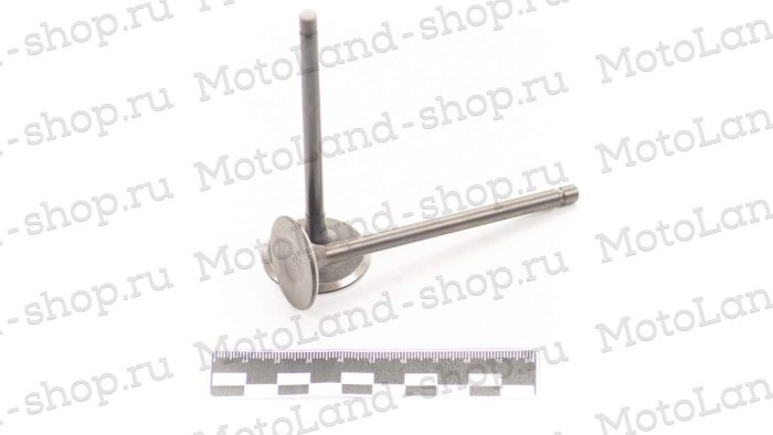 Клапаны впуск+выпуск ГРМ (компл.=2шт) 194MQ (NC450) ZS