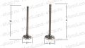 Клапаны ГРМ 167FML-3 (CG200D-B) (компл=2шт) X-TECH Клапаны ГРМ 167FML-3 (CG200D-B) (компл=2шт) X-TECH