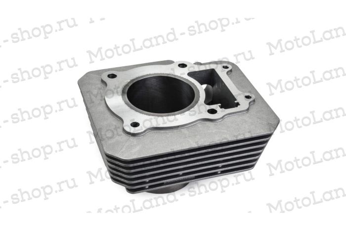 ЦПГ (поршневая) 172FMM-5 PR250 X-TECH