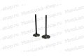 Клапаны ГРМ 165FMM CBB250 X-TECH Клапаны ГРМ 165FMM CBB250 X-TECH