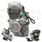Двигатель 300см3 172FMM-3A (CB250-F+BB300 D-75мм) ZS грм цепь,5ск (полный комплект)